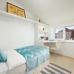 Apartamento Campanelo
